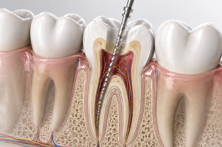SRESHTA DENTAL CLINIC